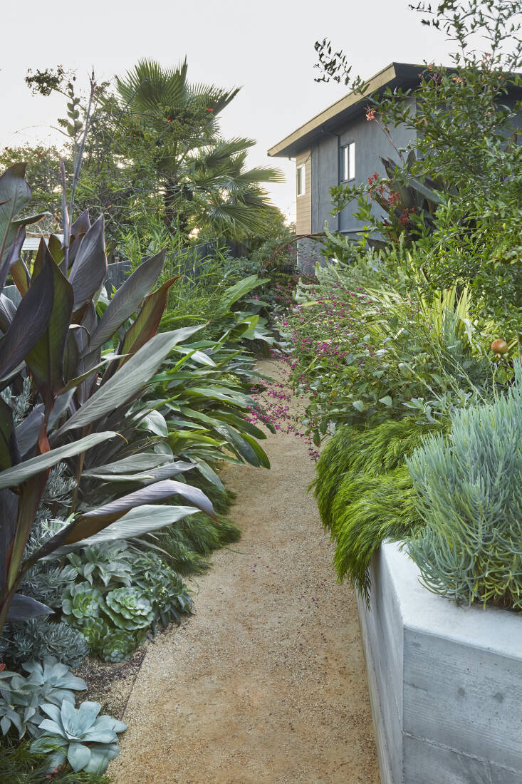 “This path, packed with colorful plants, feels both wild and really coordinated at the same time,” says Kuljian. “Paths are probably the most important garden element, not only because of their function, but also because they visually organize a space, telling the visitor where to go, which spaces are most important, and where your eye should wander.”