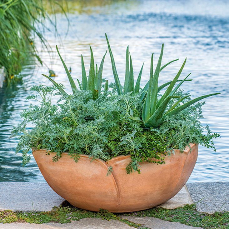 The gold-standard in terra-cotta, Seibert & Rice’s heirloom containers, are handmade in Italy out of frost-proof Impruneta clay, which means they can be left planted outdoors year-round. Keep the drainage hole clear and elevate the pot an inch or so above the ground with pot feet or wedges in the winter months. The elegant Hellebore Pot, designed by landscape architecture firm Oehme Van Sweden, resembles the bloom of its namesake and spans 3\2-inches in diameter; \$980.