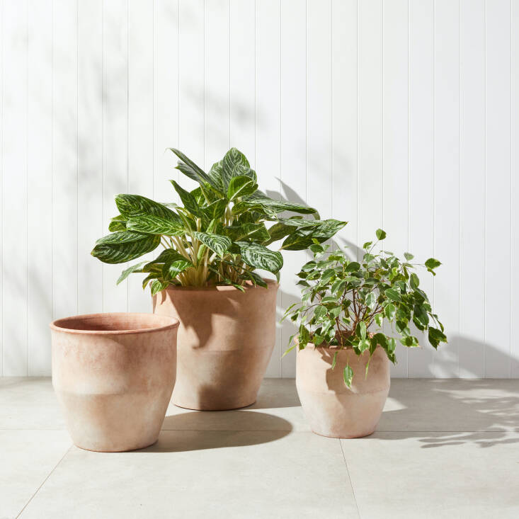 I love the soft, pale color of Rejuvenation’s Antique Terra-cotta Planter, which has a chic, vintage feel, like it’s been lounging beachside on a Greek isle. From \$99.