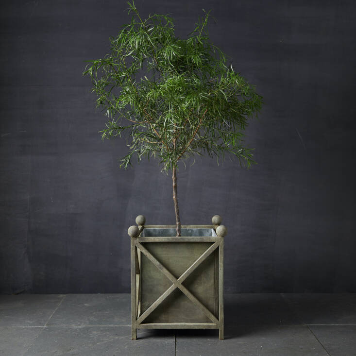 Terrain’s Iron Cross Frame Planter is a twist on a traditional Versailles box. There’s no drainage hole, so use the vessel as a cachepot and hide another pot with a drainage hole inside; \$\268.