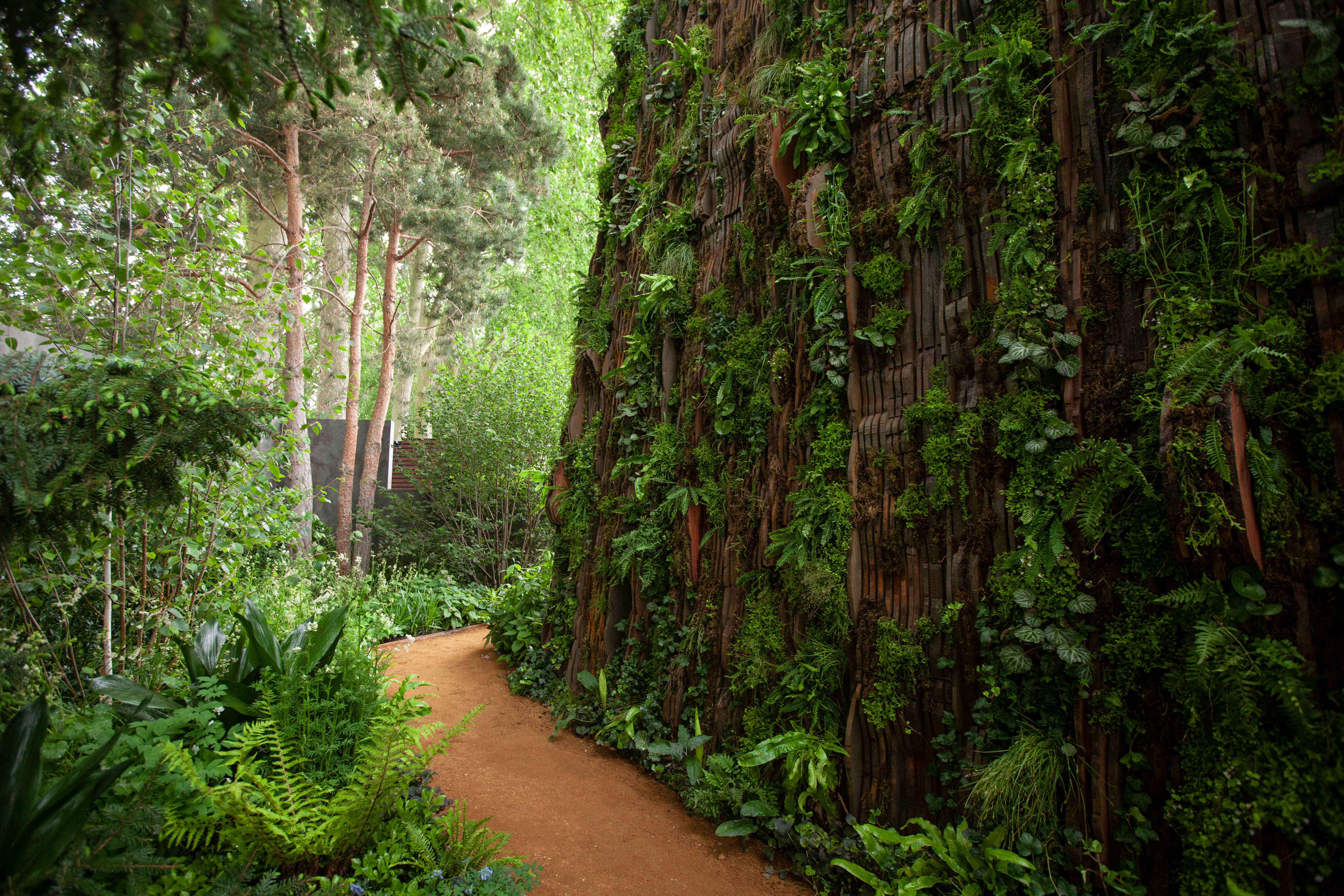 Showtime: Designer Sarah Eberle Brings Theater to the Chelsea Flower Show