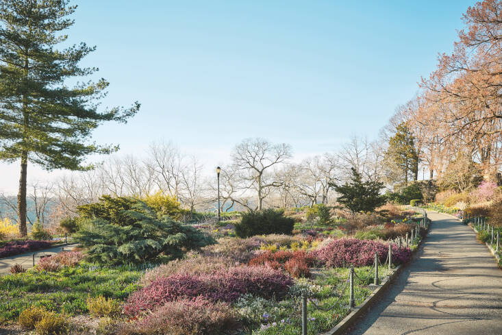 “As winter gives way to spring, the blooming heaths cut an undulating swath of pink and white through the heather beds,” writes Ngo of the Heather Garden at Fort Tryon Park. Excerpted from New York Green by Ngoc Minh Ngo (Artisan Books). Copyright © 2023. Photographs by Ngoc Minh Ngo.