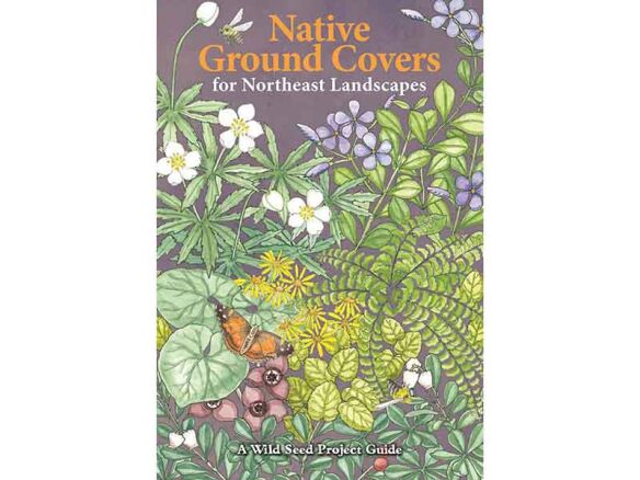 Native Ground Covers for Northeast Landscapes