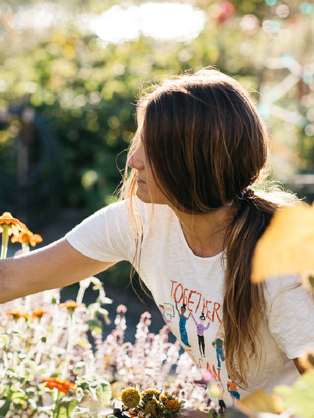 Ask the Expert: Regenerative Organic Gardener Emily Murphy on How to Rewild Your Landscape – Gardenista Web Story