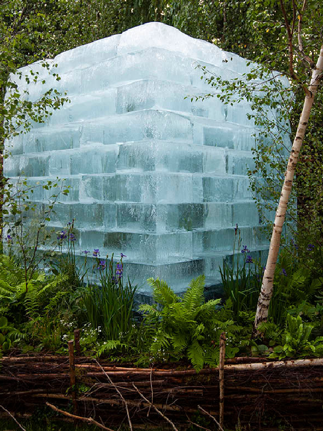 Chelsea Flower Show 2022 Preview: Wilderness and Wattling Web Story