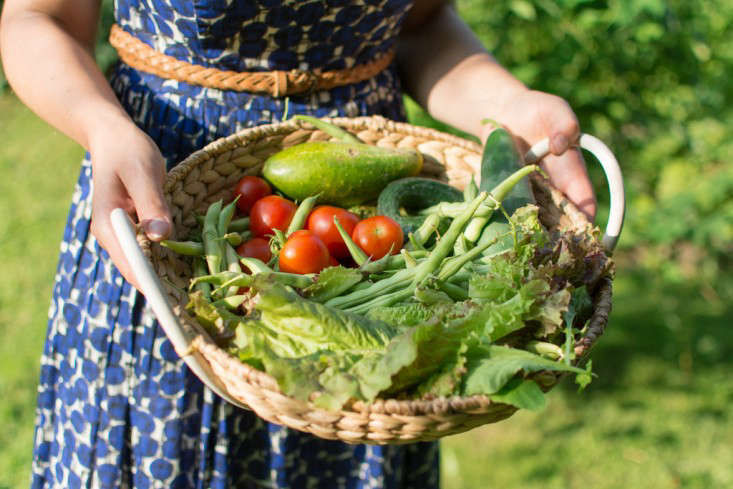 Gardening 101: When Can You Plant Tomatoes, Peppers, and Other Warm Weather Vegetables? - Gardenista
