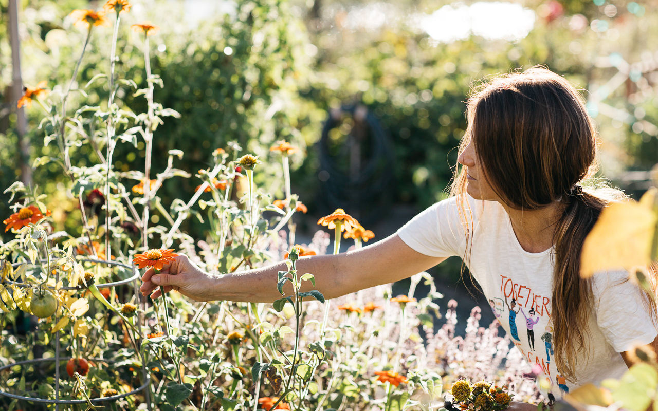 Ask the Expert: Regenerative Organic Gardener Emily Murphy on How to Rewild Your Landscape - Gardenista