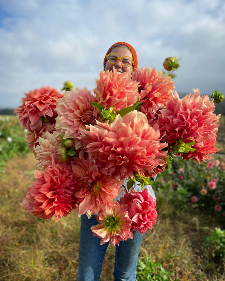 “I love the dahlia ‘Sierra Glow’ for pure stops-me-in-my-tracks no matter how many years I grow it. They&#8217;re so big and fantastical. They look like lobsters or sea anemones to me,” says Jenny Elliot, who holds a bunch at Tiny Hearts Farm. Photograph courtesy of Tiny Hearts Farm.