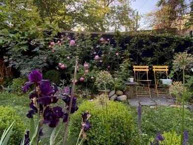 Browse Before & After - Gardenista