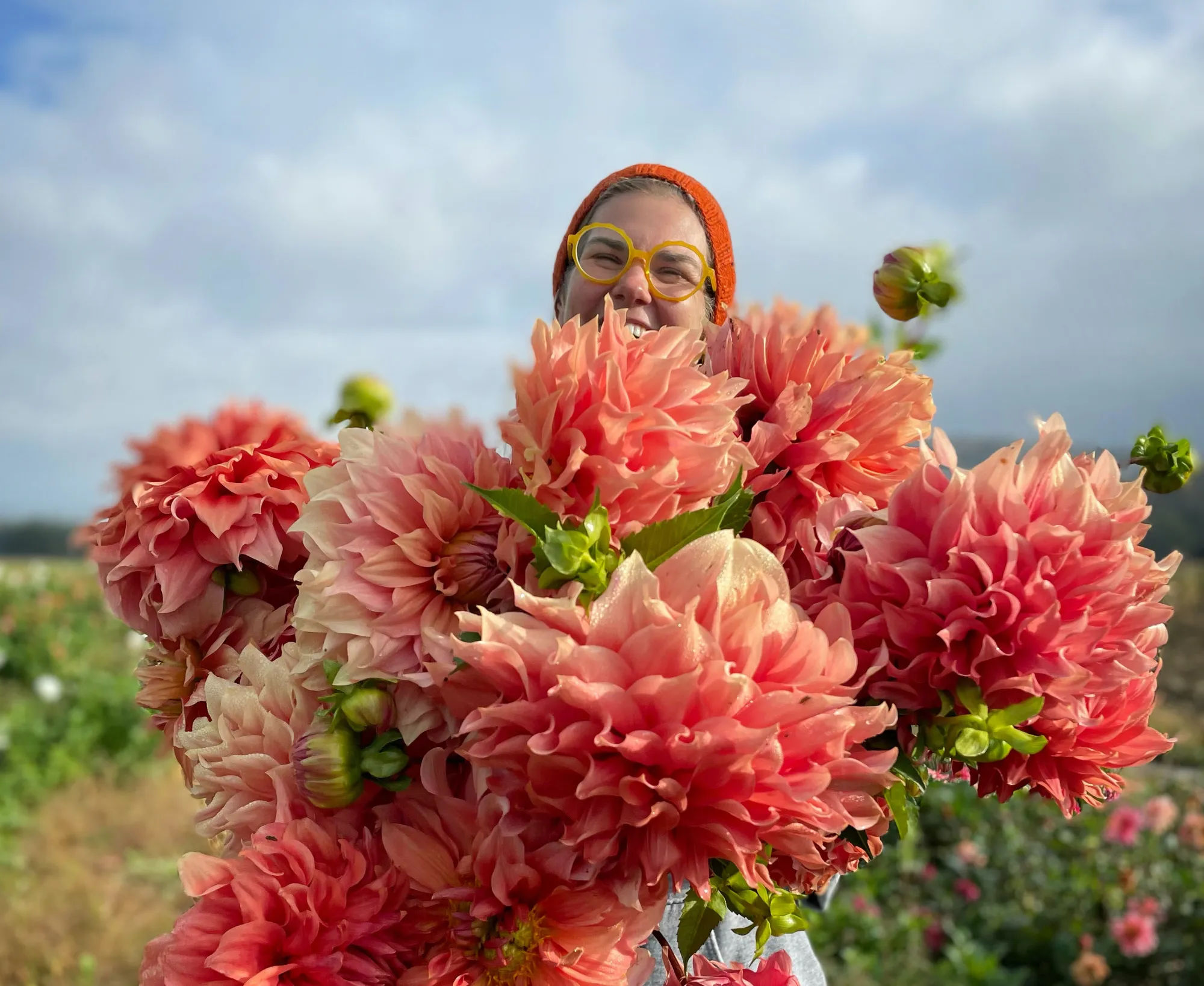 flowers for drying: which ones, and how-to, with jenny elliott - A Way To  Garden