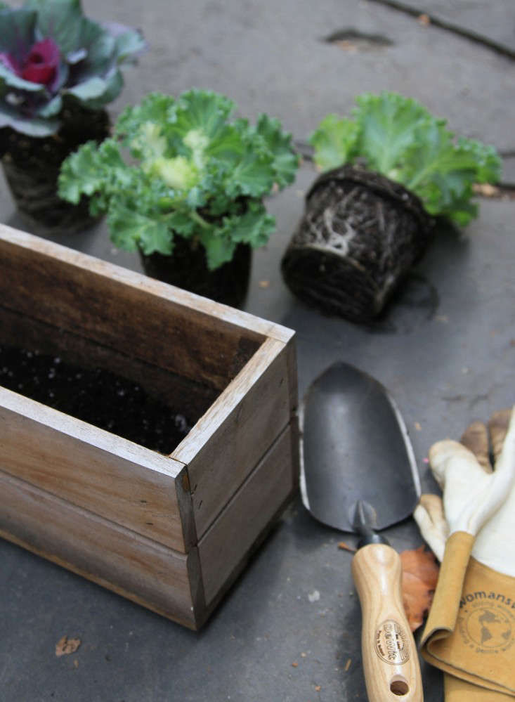 20 Gardenista Favorites to Source on Amazon - Gardenista