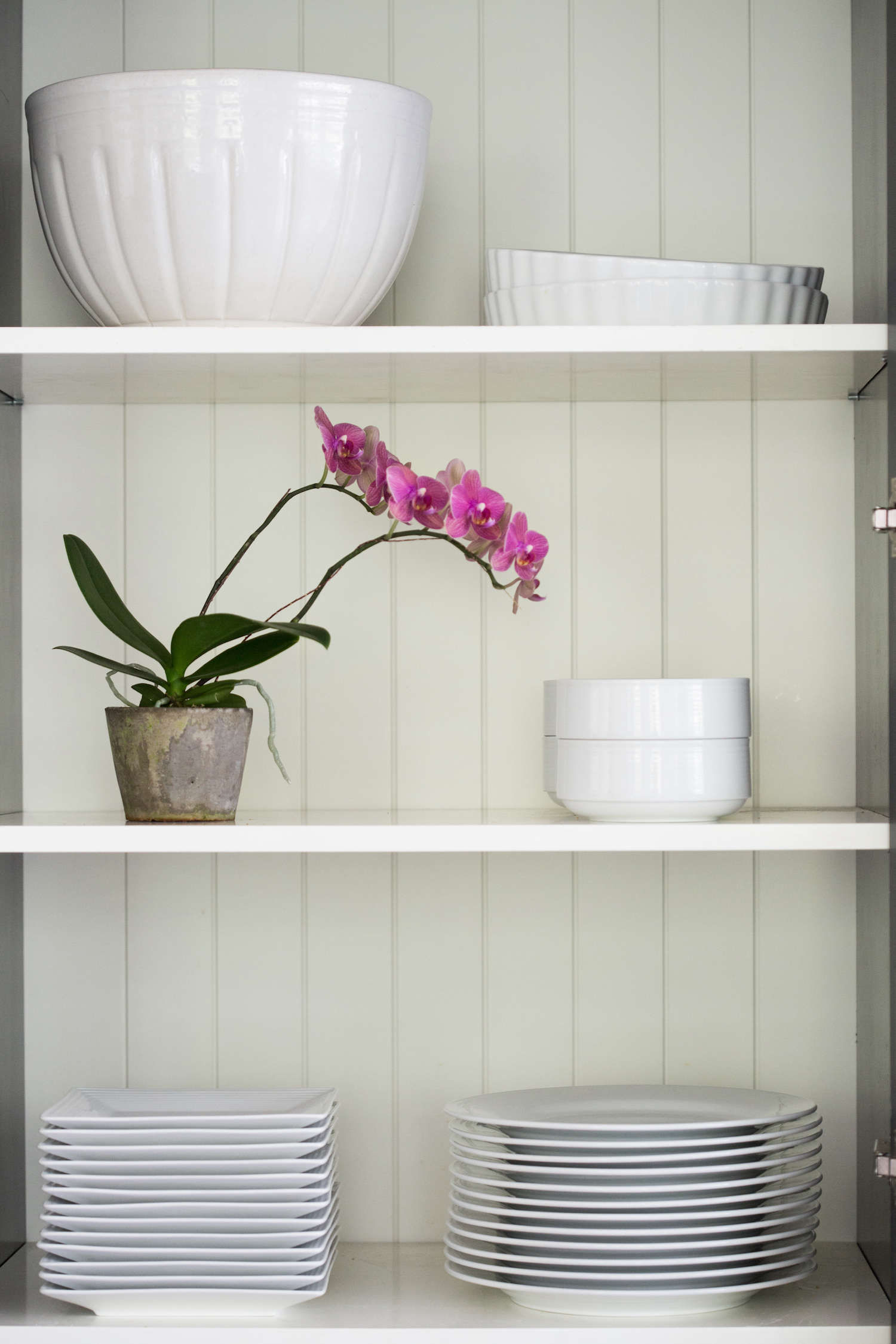 CurrentObsessions:FlowerShowsAroundtheWorld-Gardenista