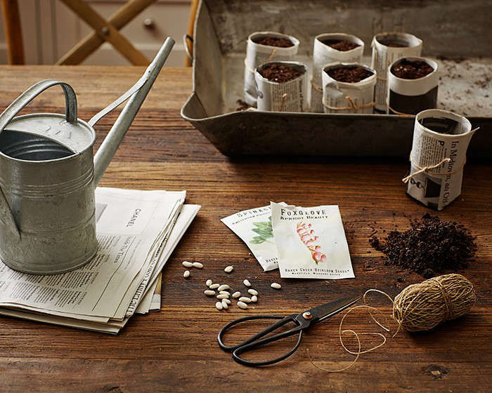 Gardening 101: How to Sprout a Seed - Gardenista
