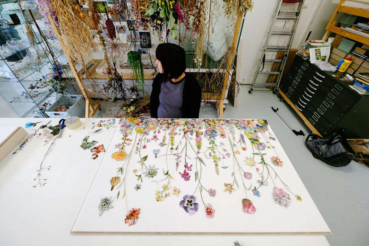 Studio Visit: Botanical Artist Anne ten Donkelaar - Gardenista
