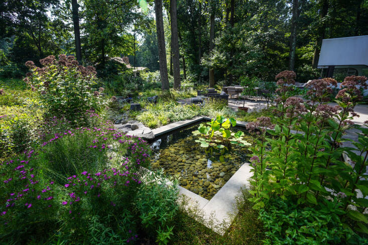 Above: The plantings surrounding the formal pool are carefully designed, but have a naturalistic feel that gives some intent to the wilder landscape.