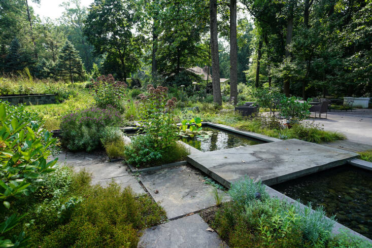 Above: Standing on the walkway looking at the formal rectilinear pool, which is planted with native lily pads and lizard’s tail, you can see the meadow in the distance, and the property’s only very small patch of lawn.