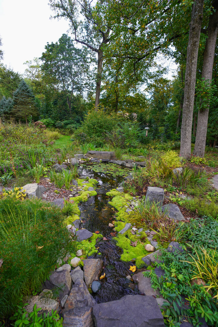 “None of the moss was planted on the edge of the stream,” says Weaner of the area, once an expanse of bamboo. “But as soon as we saw it happening, we said, oh, this would be a beautiful edge. Let’s remove anything else that shows up there.” In the spring, blue flag iris blooms on both banks.