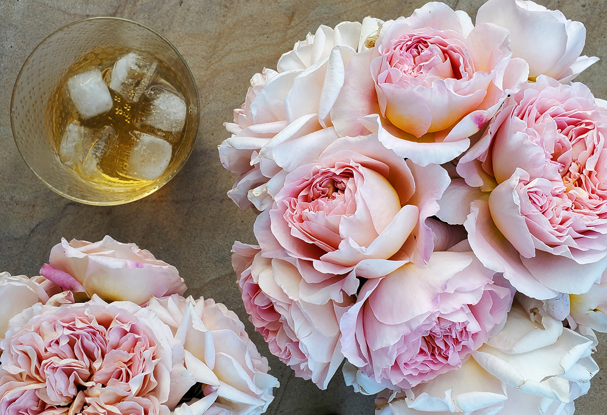Rose petals are a fragrant and delicious ingredient