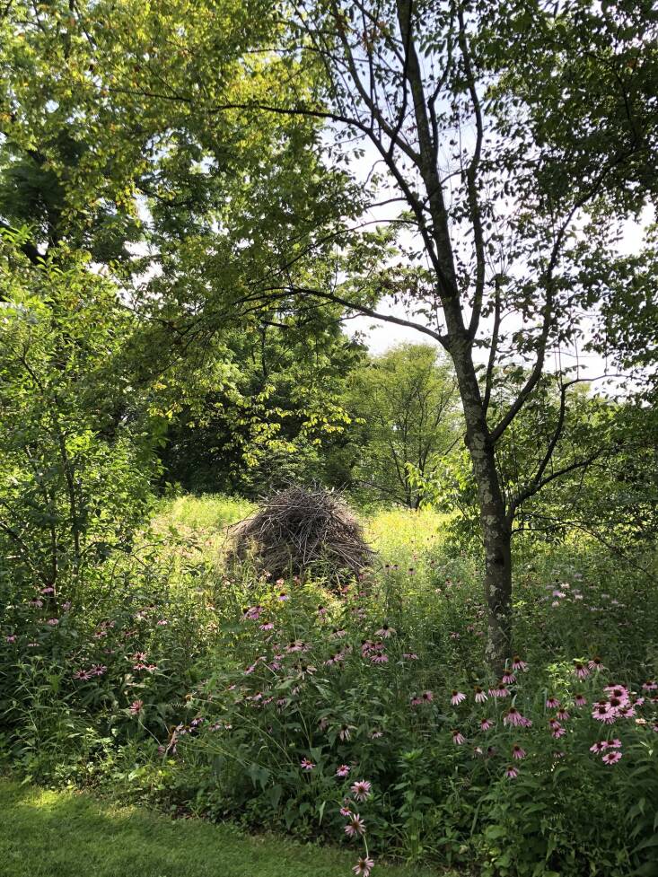 Several years ago when I was at Chanticleer, the dreamy garden in Wayne, PA, I fell for this simple habitat pile tucked away in the meadow. Fehlhaber builds each stack around a center post. As the stack settles, gaps form around the post. “Bumblebees use this gap to gain access to the interior of the stack, which is likely relatively well-sheltered and dry, to make their nests,” he says. 
