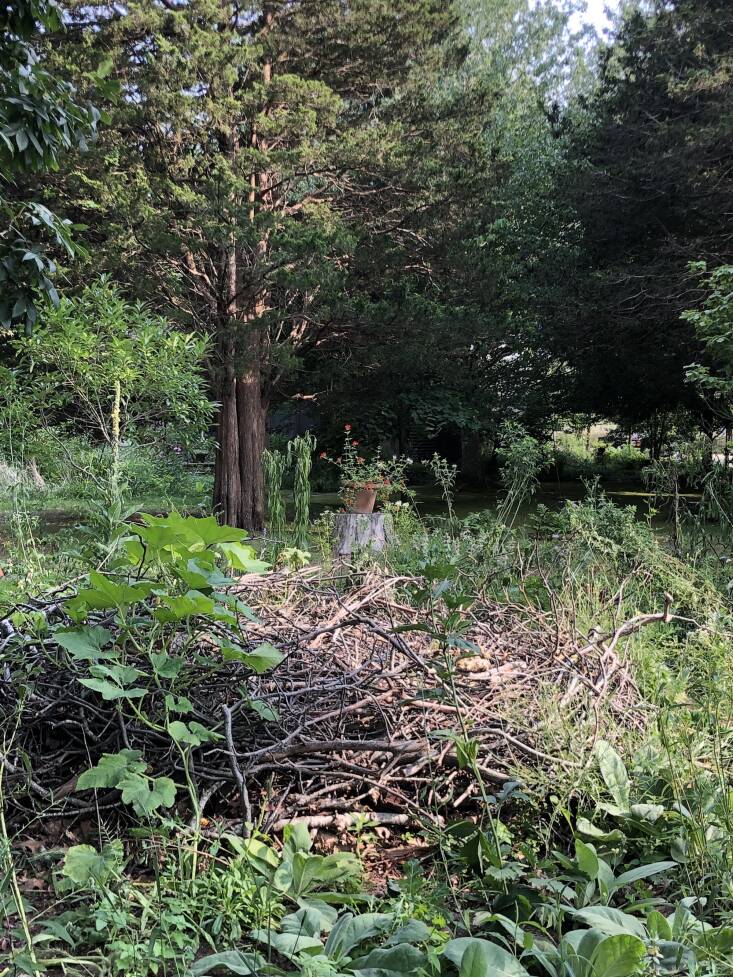 Von Gal doesn’t throw away anything from her garden. Clippings go into compost and any branches that fall or break from storms get turned into habitat piles that are embedded throughout her property on Eastern Long Island. She and her team love the process of knitting branches together to build this nest. “It’s meditative,” she says.