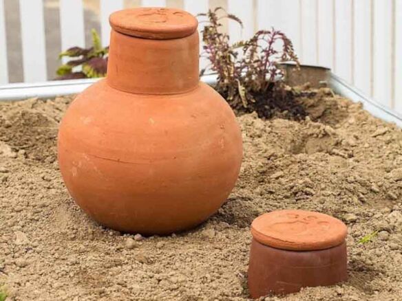 How to use an olla to water your garden