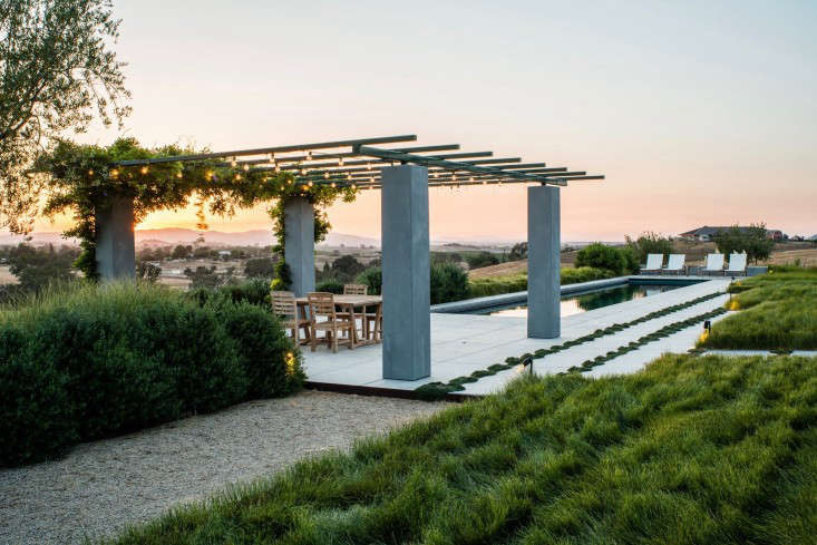 Gardening 101: Carex - Gardenista