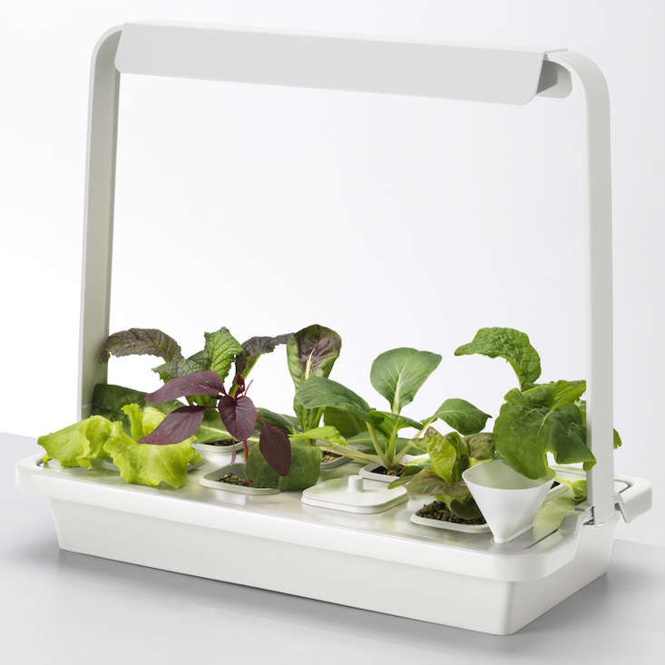 New from Ikea: A Hydroponic Countertop Garden Kit - Gardenista Web