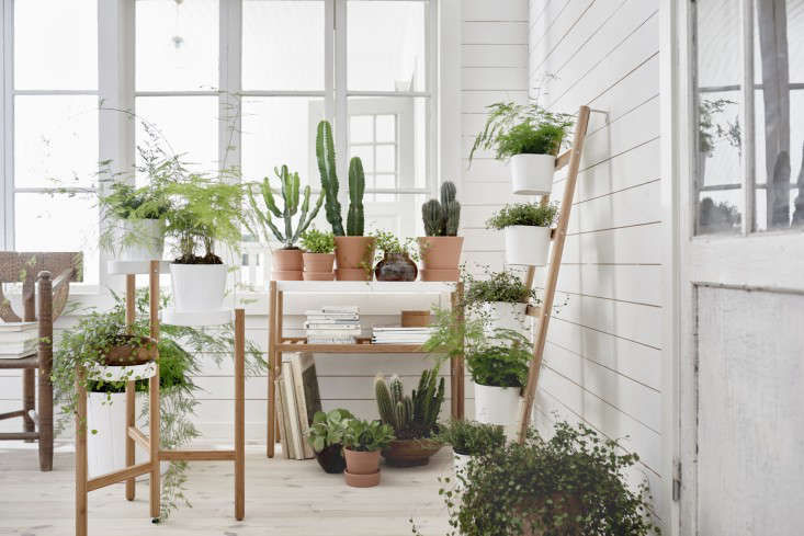 Ikea Sneak Peek: New Bamboo Plant Stands and Planters - Gardenista Web  Story - Gardenista