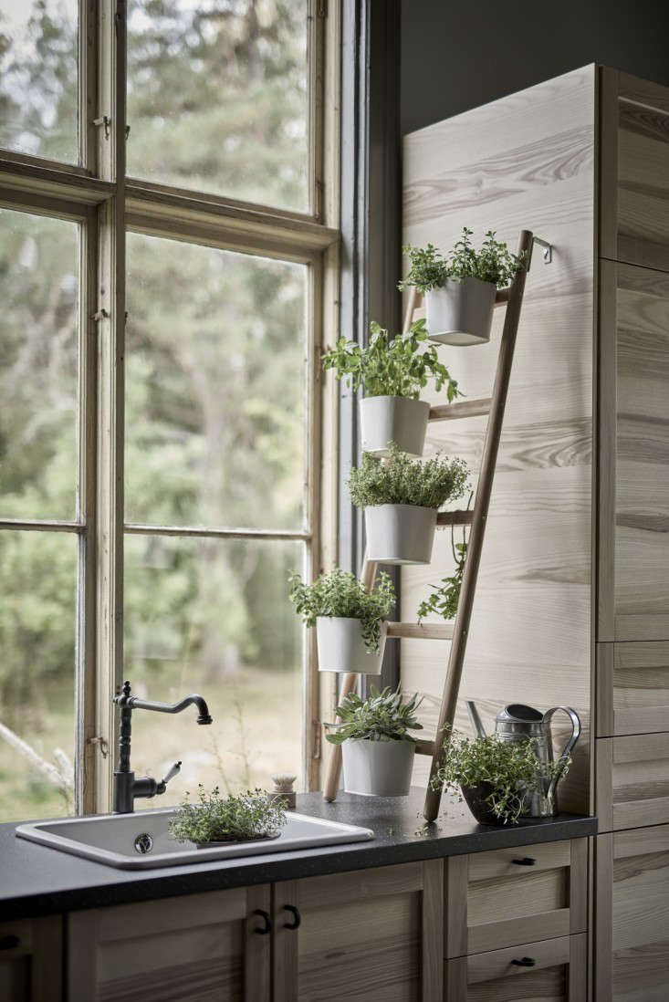 Ikea Sneak Peek: New Bamboo Plant Stands and Planters - Gardenista