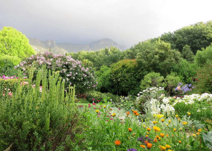 Garden Visit: My Mother's Garden in South Africa - Gardenista