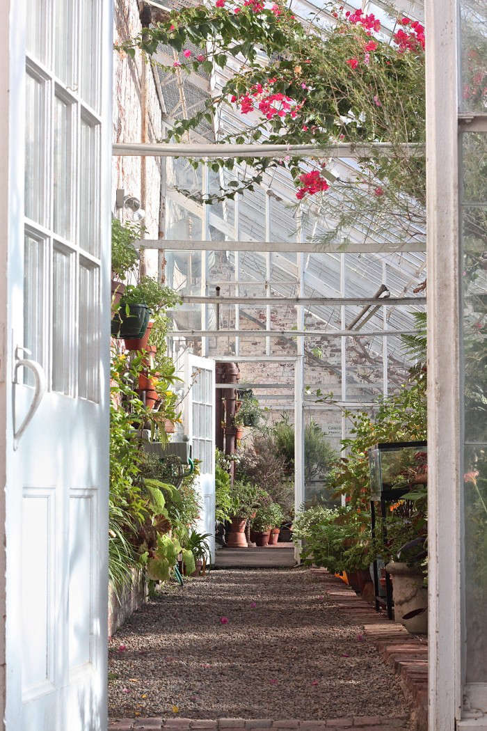 Living History: One of America's Oldest Greenhouses - Gardenista