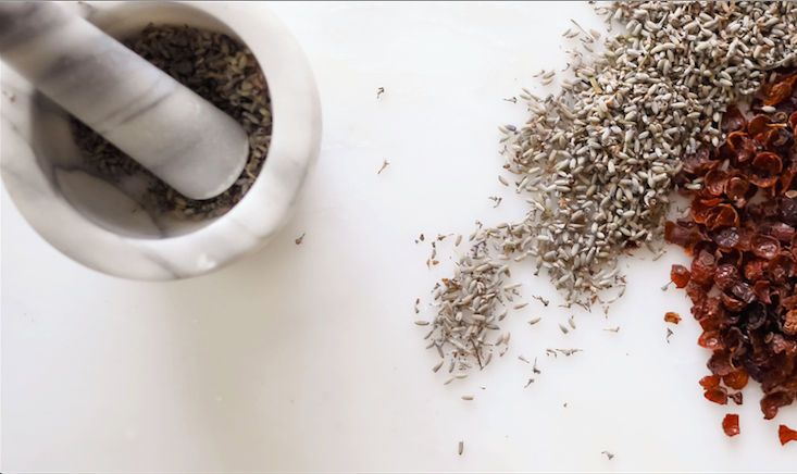 Plant Potion: Natural Skin Care from Horticulture - Gardenista