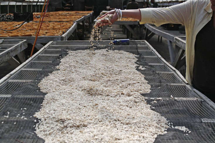 Shopper's Diary: High Mowing Seeds for Organic Gardens - Gardenista