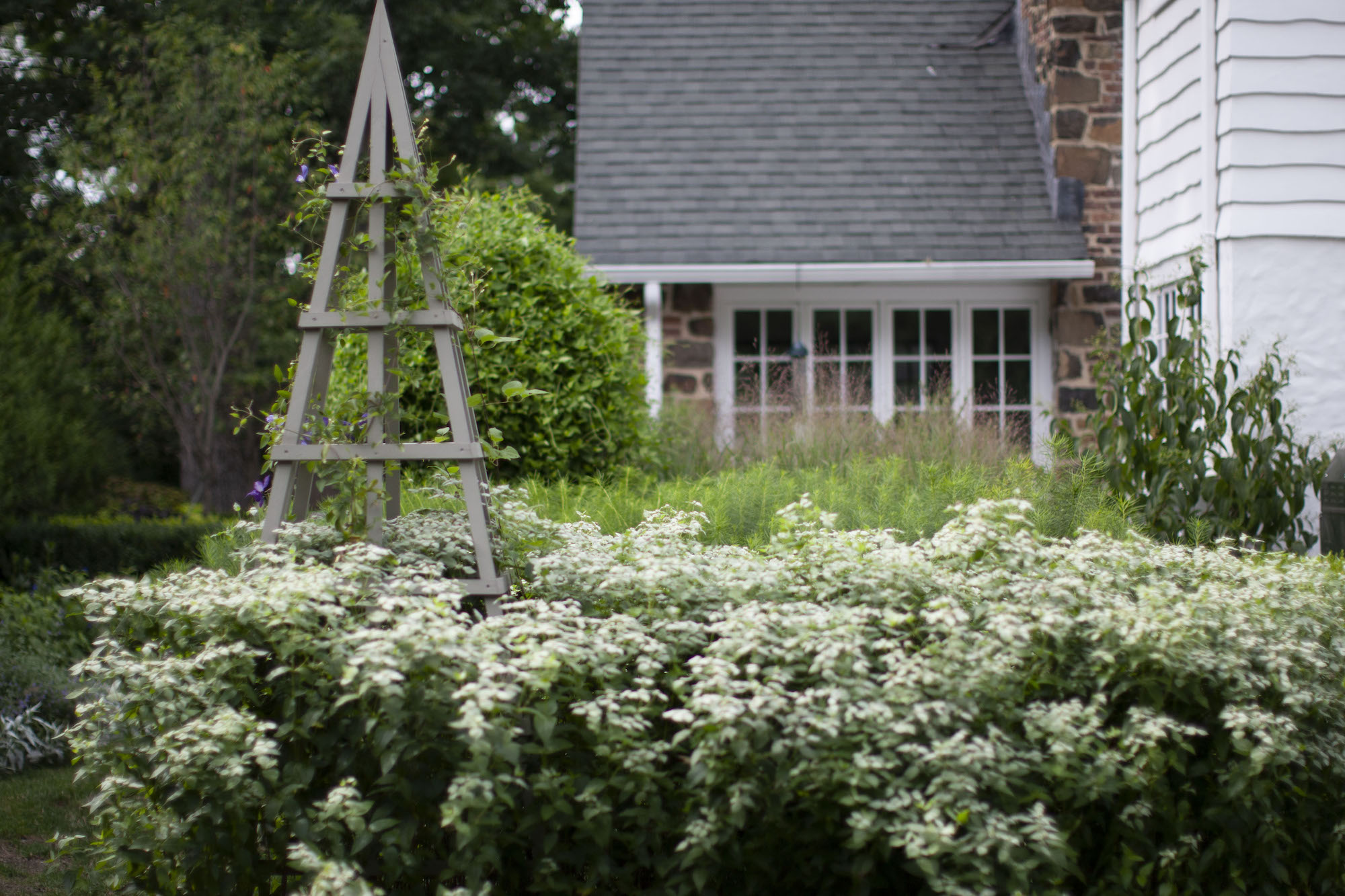 Ask the Expert Designer Hadley Peterson on How to Incoporate Natives