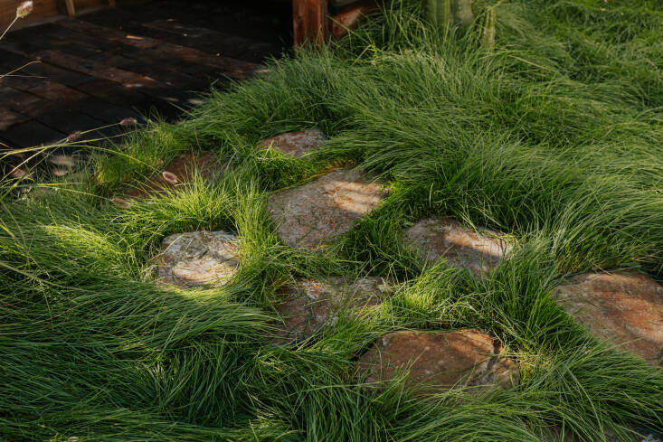 &#8\2\20;Grass is a grounding element that stitches together the various planting zones throughout the landscape. This ignites so much movement,&#8\2\2\1; says Taylor. &#8\2\20;We love grass. When in doubt, plant more grass.&#8\2\2\1;