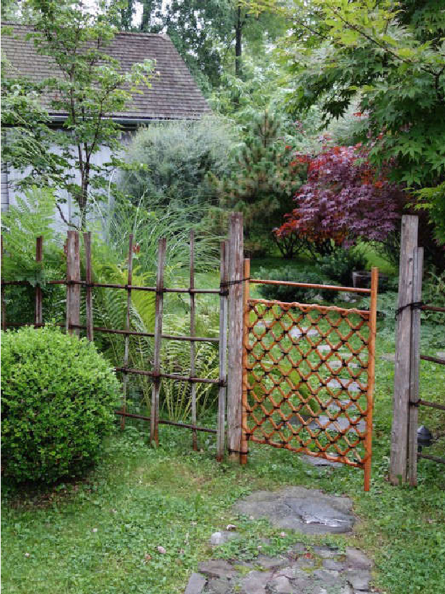 best-amateur-designed-garden-bettina-mueller-gardenista-web-story