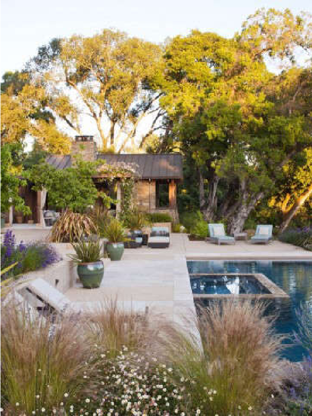 Vote for the Best Professionally Designed Landscape in the Gardenista