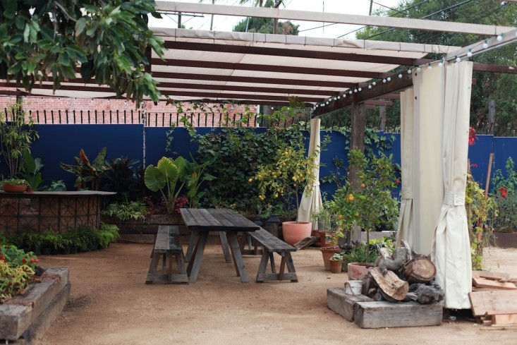 Shopper's Diary: Canyon Culture—and Cacti—at Hollyflora in LA - Gardenista