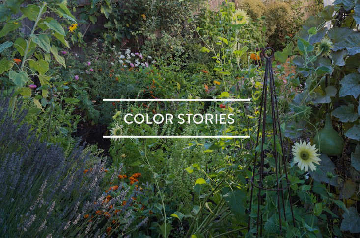 TableofContents:ColorStories-Gardenista