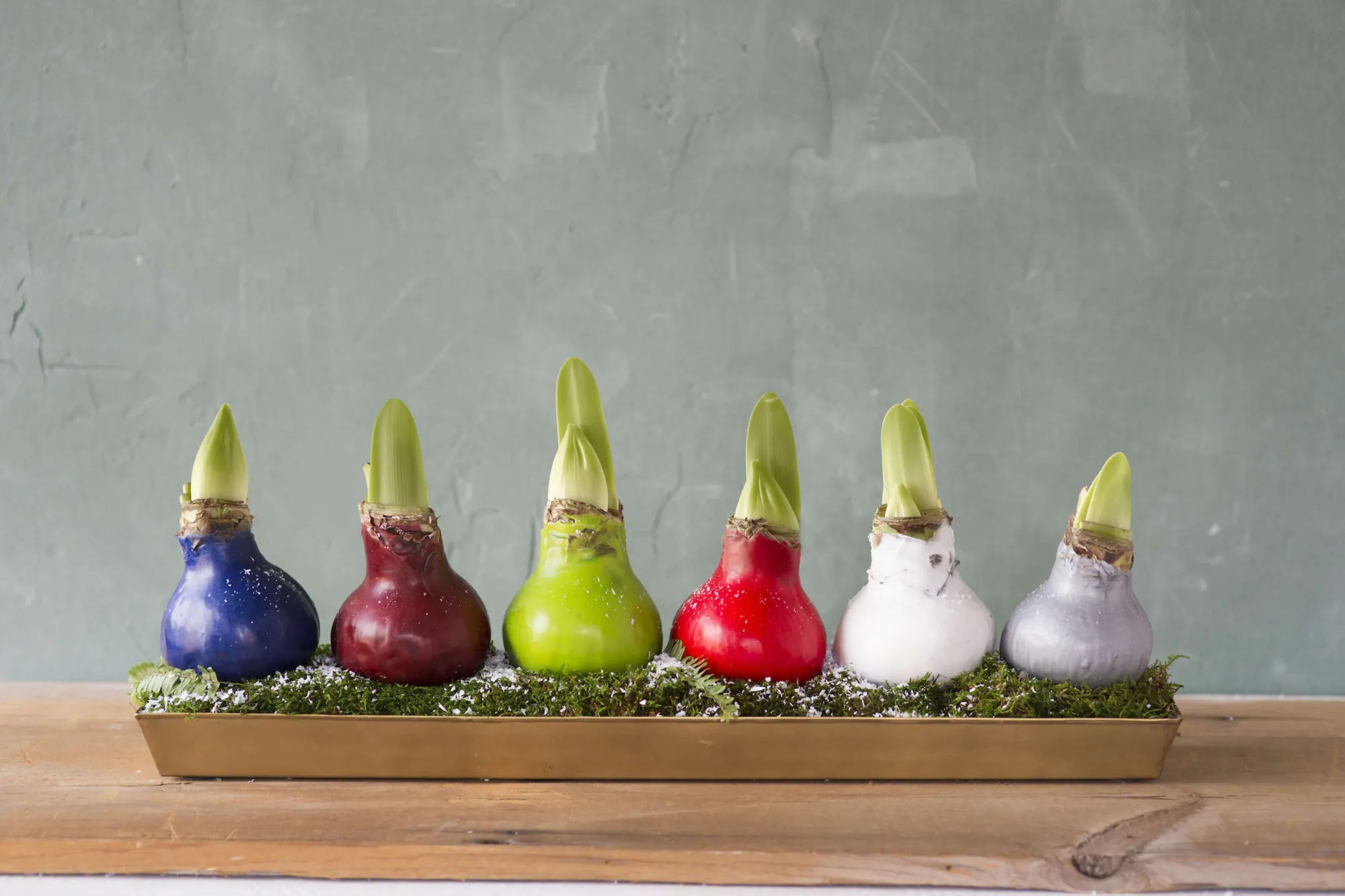 Current Obsessions: The City on a Hill - Gardenista