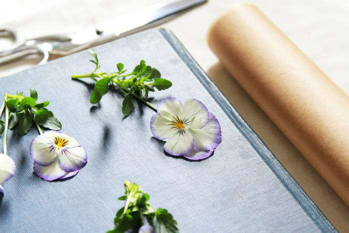 DIY:PressedFlowerBookmarks-Gardenista