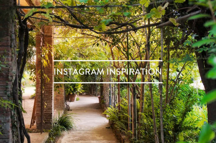 TableofContents:InstagramInspiration-Gardenista