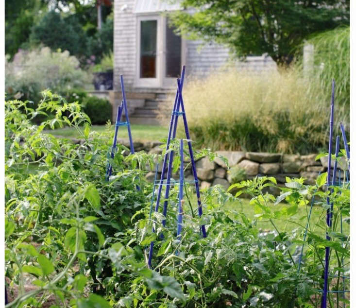 The New Vegetable Garden: 8 Favorite Edible Backyards - Gardenista
