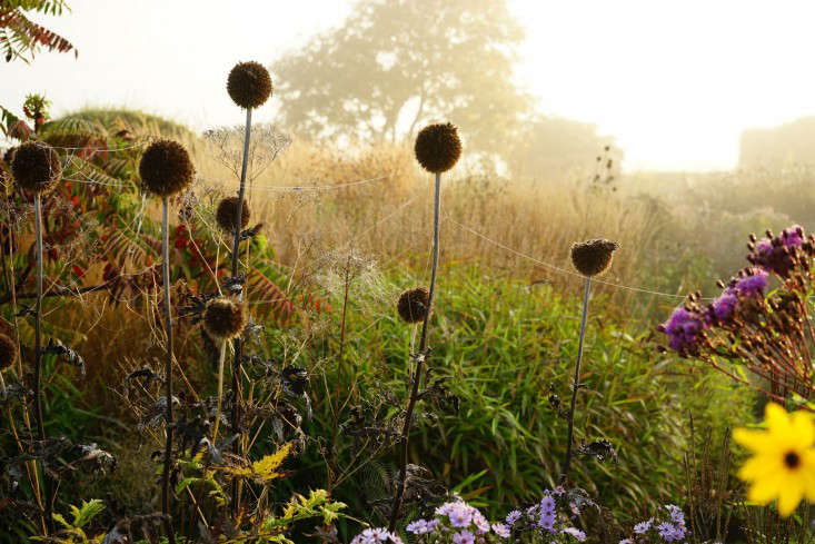 GardenistaGiveaway:LandscapeDesignerPietOudolf'sNewBook-Gardenista