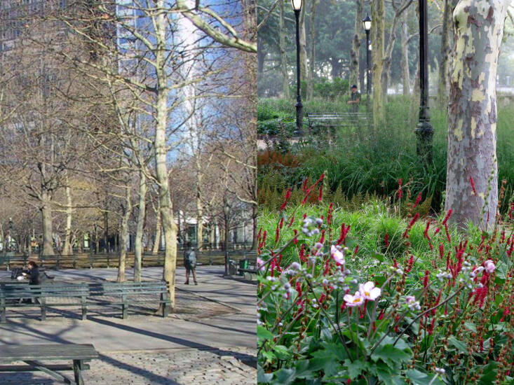 What a difference a garden makes. A concrete park becomes a wonderland with carefully considered plantings.
