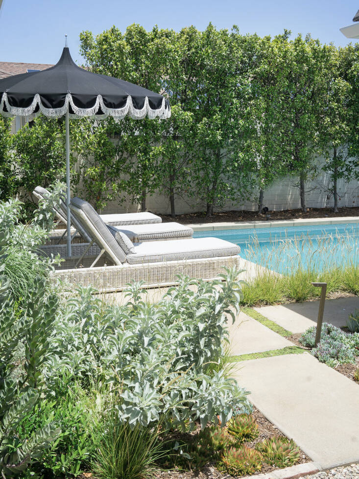 A pair of chaise lounges and a scalloped umbrella offer a shady place to lounge on the far end of the pool. White sage softens the division between the entry courtyard and the pool.