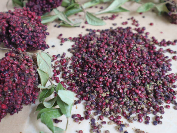 Make Your Own Sumac Spice