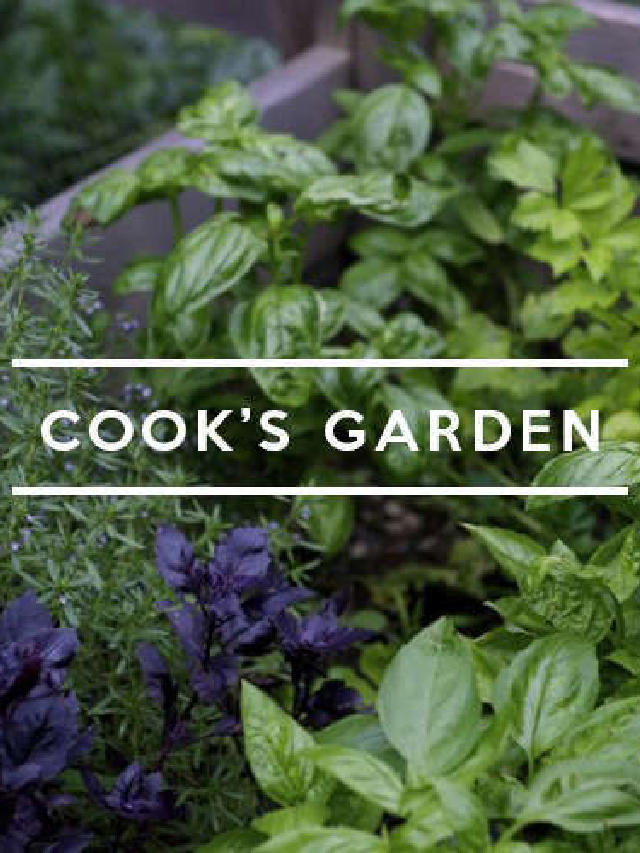 Table of Contents Cook's Garden Gardenista Web Story Gardenista