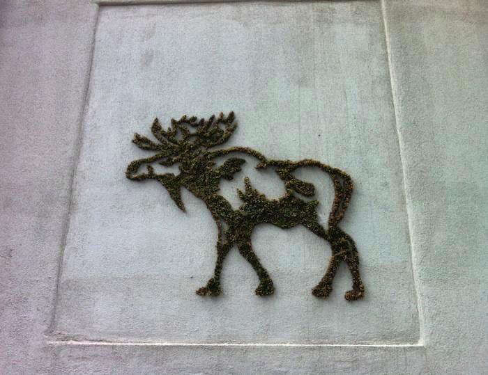 MossGraffitiasHolidayDecor:WilliamsburgEdition-Gardenista