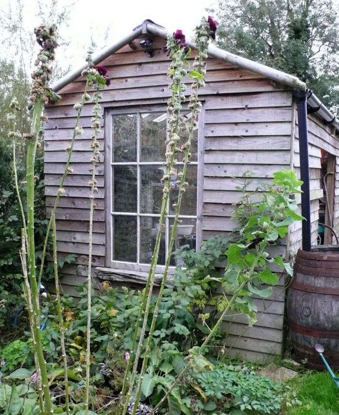 5Favorites:PleasantPottingShedEssentials-Gardenista